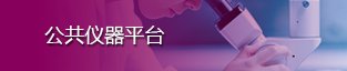 天津市津南区 海河金沙4066线路检